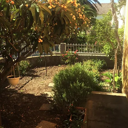 With Parking Space Orebic, Peljesac - 4527 Orebić