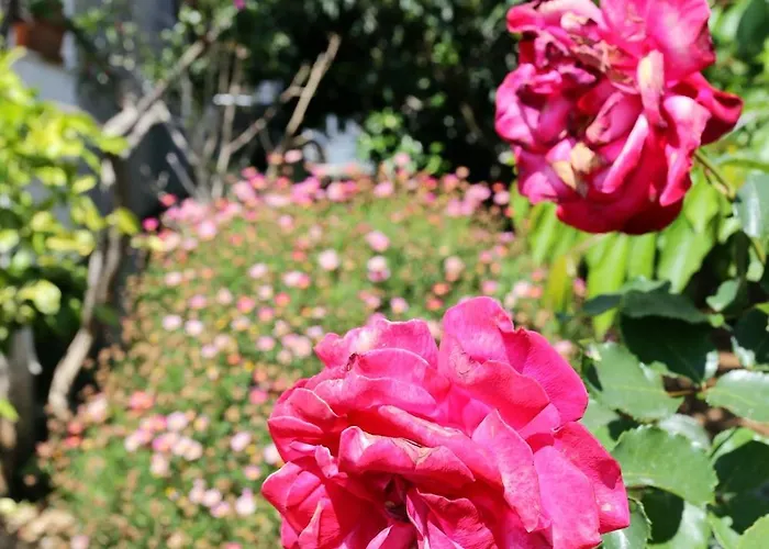 With Parking Space Orebic, Peljesac - 4527 Apartamento Orebić