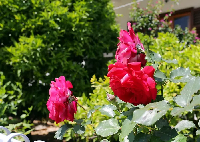 With Parking Space Orebic, Peljesac - 4527 Apartament *